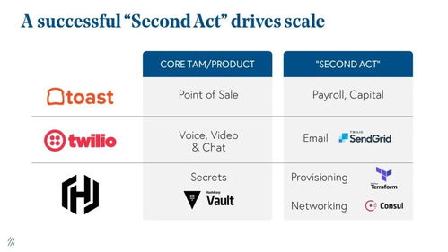 以美为鉴，探中国SaaS未来之路——网络技术服务篇